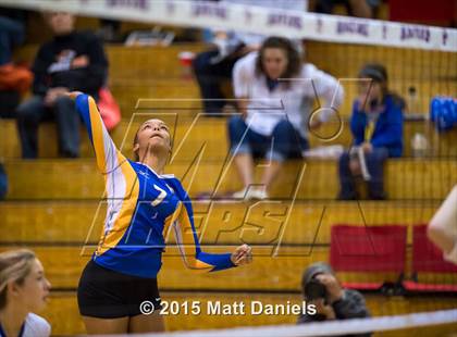 Thumbnail 1 in Lakewood vs. Rampart (CHSAA 5A Region 12 Playoff) photogallery.