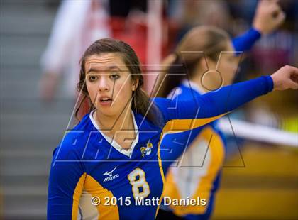 Thumbnail 1 in Lakewood vs. Rampart (CHSAA 5A Region 12 Playoff) photogallery.