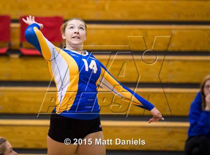 Thumbnail 2 in Lakewood vs. Rampart (CHSAA 5A Region 12 Playoff) photogallery.