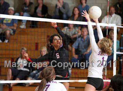 Thumbnail 2 in Shasta @ Foothill photogallery.