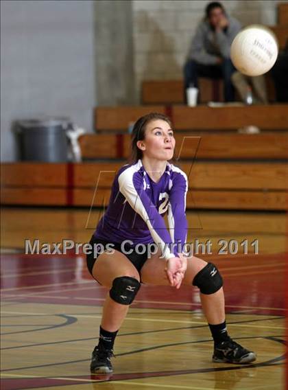 Thumbnail 2 in Shasta @ Foothill photogallery.