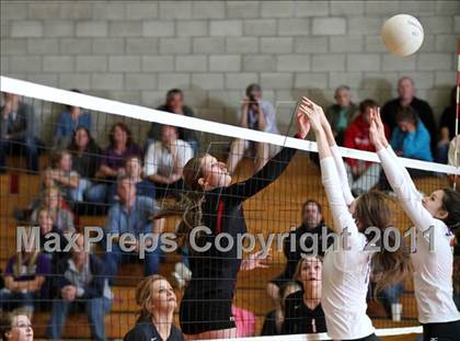 Thumbnail 1 in Shasta @ Foothill photogallery.