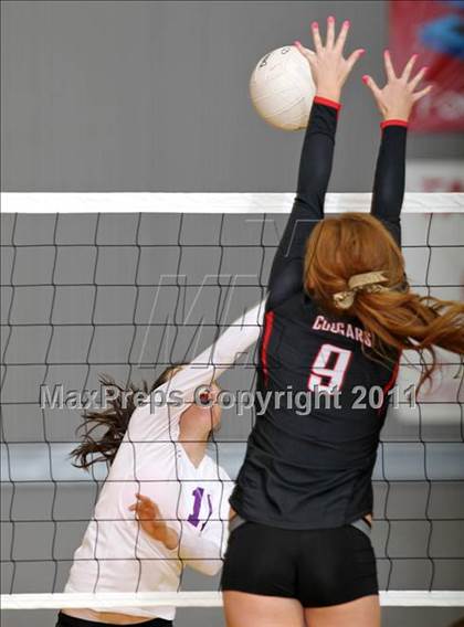 Thumbnail 2 in Shasta @ Foothill photogallery.