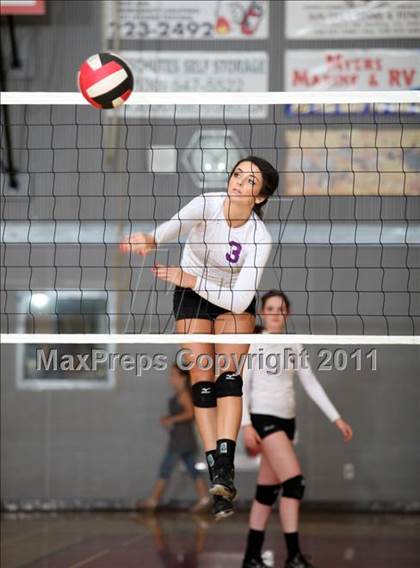 Thumbnail 1 in Shasta @ Foothill photogallery.