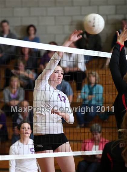 Thumbnail 1 in Shasta @ Foothill photogallery.