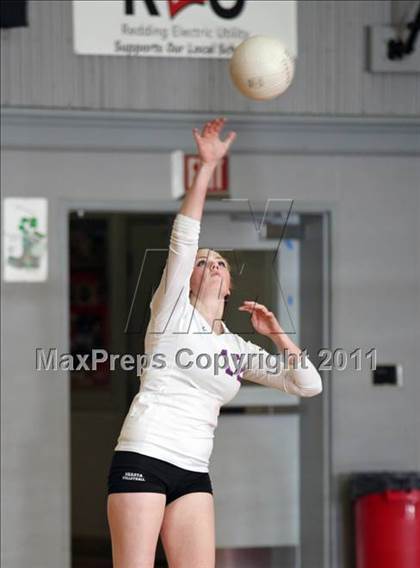 Thumbnail 1 in Shasta @ Foothill photogallery.