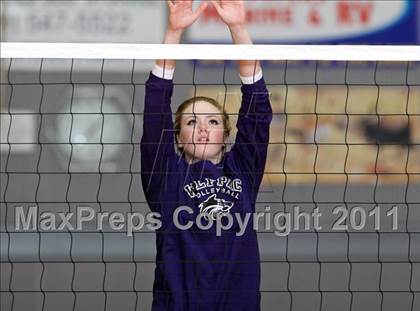 Thumbnail 1 in Shasta @ Foothill photogallery.