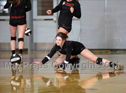 Thumbnail 2 in Shasta @ Foothill photogallery.