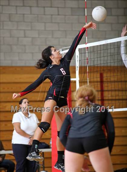 Thumbnail 2 in Shasta @ Foothill photogallery.