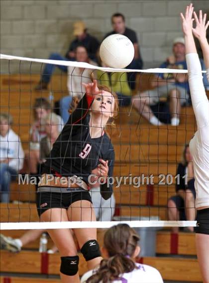 Thumbnail 3 in Shasta @ Foothill photogallery.