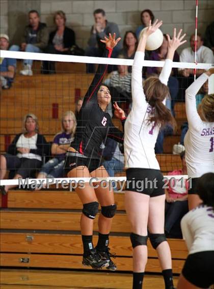 Thumbnail 3 in Shasta @ Foothill photogallery.