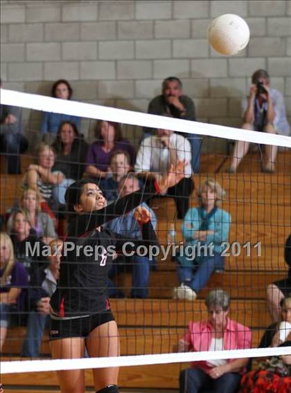 Thumbnail 2 in Shasta @ Foothill photogallery.