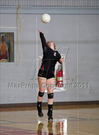 Thumbnail 1 in Shasta @ Foothill photogallery.