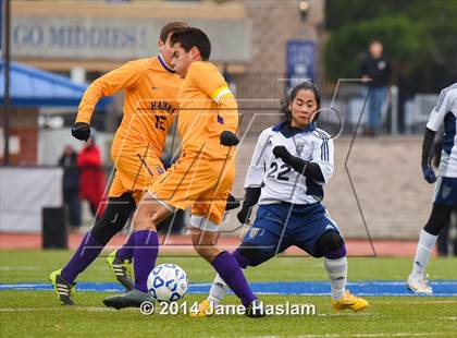 Thumbnail 3 in World of Inquiry vs. Rhinebeck (NYSPHSAA Class C Final) photogallery.