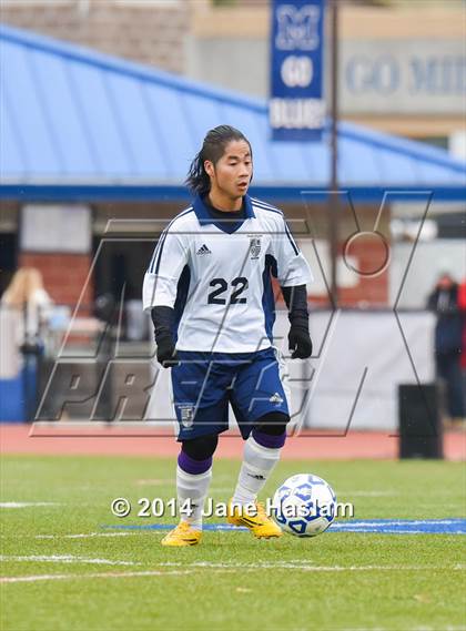 Thumbnail 2 in World of Inquiry vs. Rhinebeck (NYSPHSAA Class C Final) photogallery.