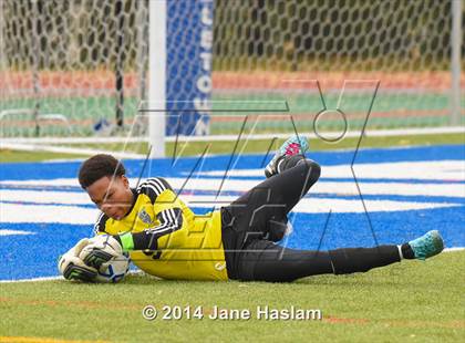 Thumbnail 2 in World of Inquiry vs. Rhinebeck (NYSPHSAA Class C Final) photogallery.