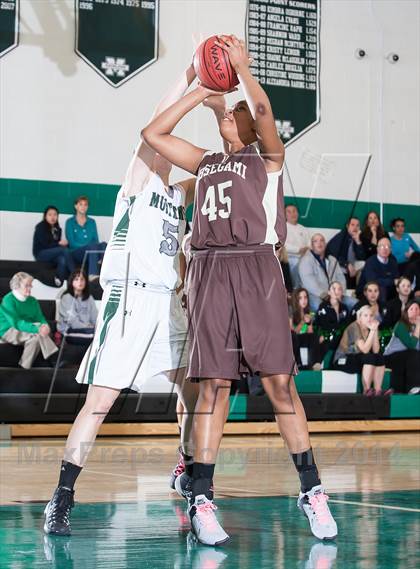 Thumbnail 3 in Absegami @ Mainland Regional photogallery.