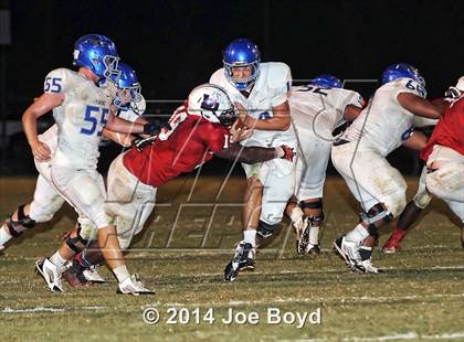 Thumbnail 3 in Florence @ Bob Jones photogallery.