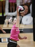 Photo from the gallery "Mt. Carmel @ St. Mary's Dominican"