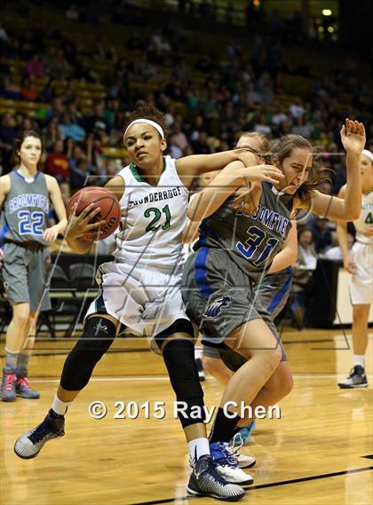 Thumbnail 3 in Broomfield vs. ThunderRidge (CHSAA 5A Final) photogallery.