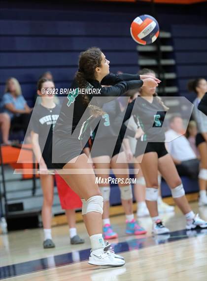 Thumbnail 1 in Reagan @ West Stanly photogallery.