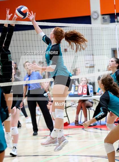 Thumbnail 3 in Reagan @ West Stanly photogallery.