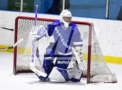 Thumbnail 1 in West Haven @ Fairfield Prep photogallery.