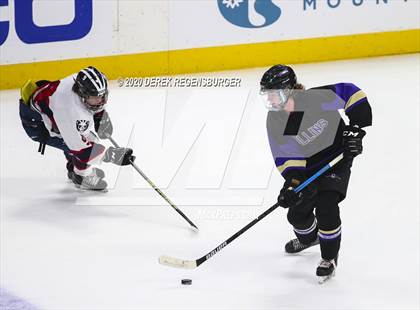 Thumbnail 3 in Fort Collins vs Chaparral (CHSAA Frozen Four) photogallery.