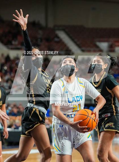 Thumbnail 2 in Chinle @ Alchesay (AIA 3A Final) photogallery.