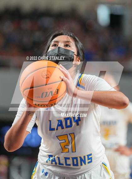 Thumbnail 2 in Chinle @ Alchesay (AIA 3A Final) photogallery.
