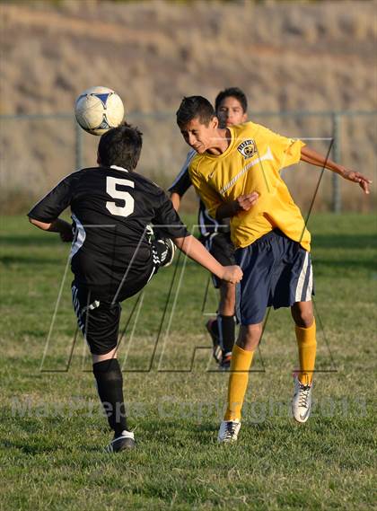 Thumbnail 1 in Florin @ Rosemont photogallery.