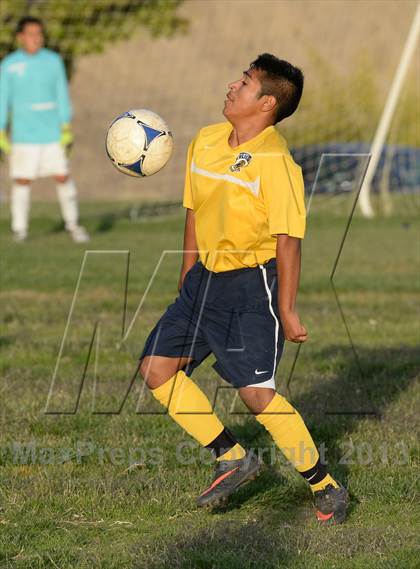 Thumbnail 3 in Florin @ Rosemont photogallery.