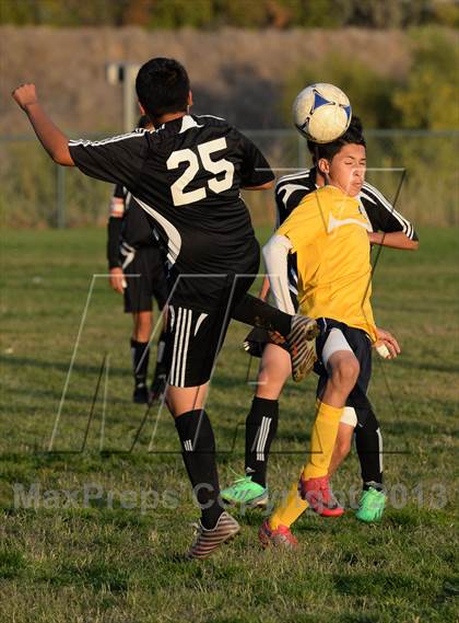 Thumbnail 1 in Florin @ Rosemont photogallery.