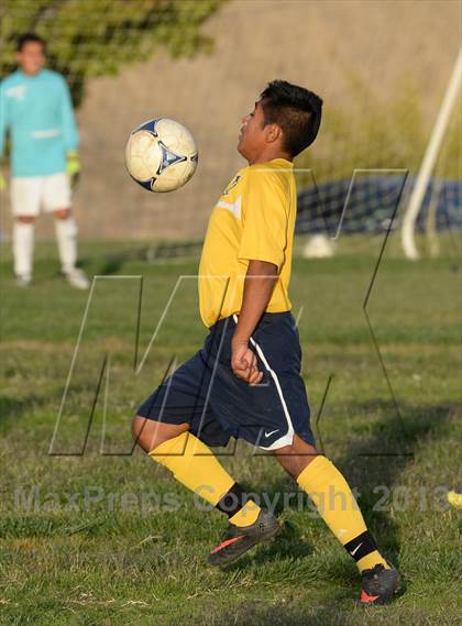 Thumbnail 1 in Florin @ Rosemont photogallery.