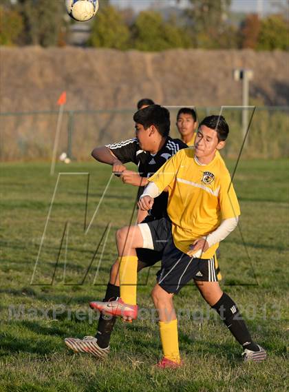 Thumbnail 1 in Florin @ Rosemont photogallery.