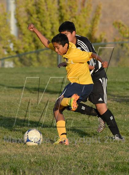 Thumbnail 1 in Florin @ Rosemont photogallery.