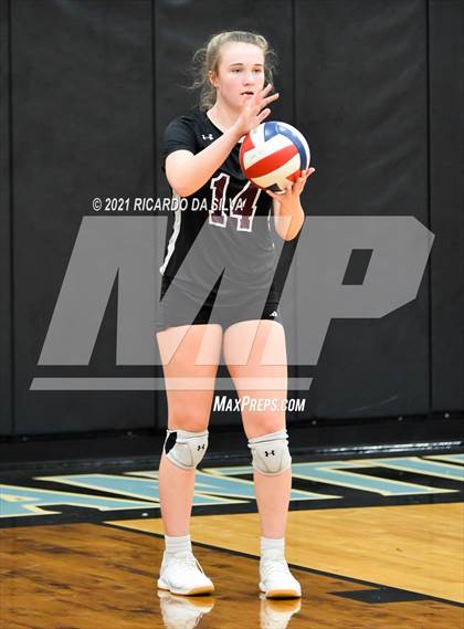 Thumbnail 3 in Paetow vs Waller photogallery.