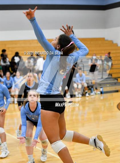 Thumbnail 1 in Paetow vs Waller photogallery.