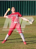 Photo from the gallery "Rowe @ Pioneer"
