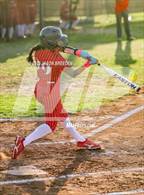 Photo from the gallery "Rowe @ Pioneer"