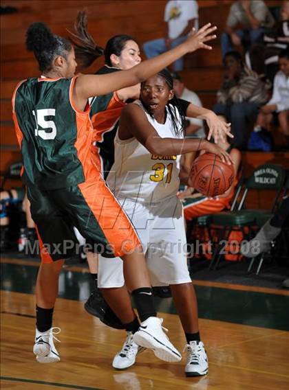 Thumbnail 2 in Poly vs. Narbonne (Ladycat Classic) photogallery.