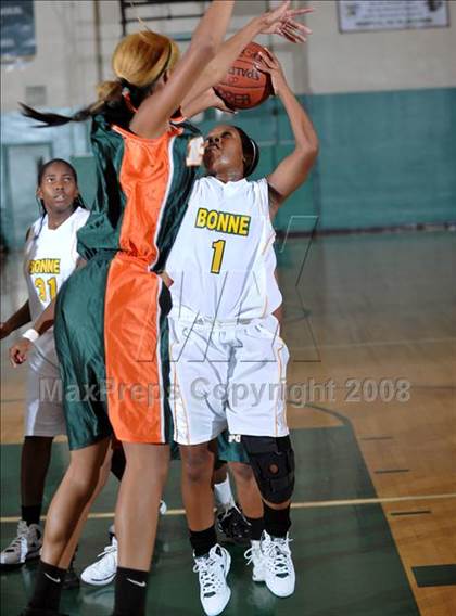 Thumbnail 3 in Poly vs. Narbonne (Ladycat Classic) photogallery.