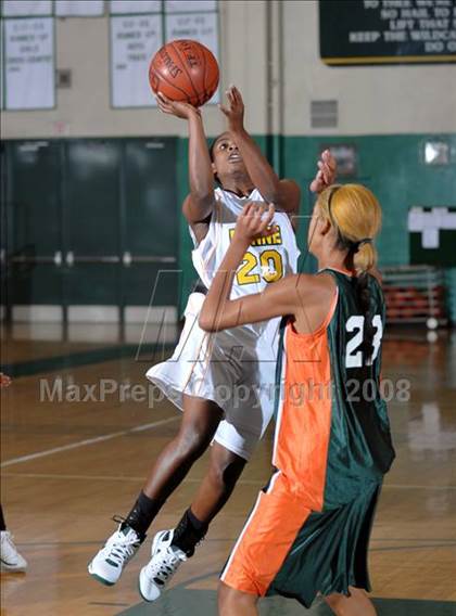 Thumbnail 1 in Poly vs. Narbonne (Ladycat Classic) photogallery.