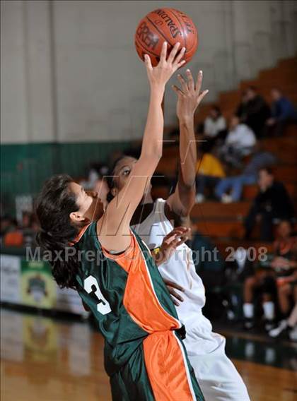 Thumbnail 3 in Poly vs. Narbonne (Ladycat Classic) photogallery.