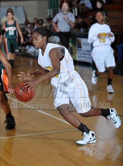 Thumbnail 3 in Poly vs. Narbonne (Ladycat Classic) photogallery.