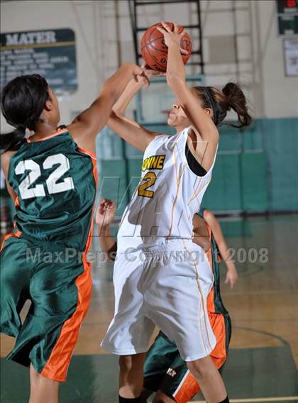 Thumbnail 1 in Poly vs. Narbonne (Ladycat Classic) photogallery.
