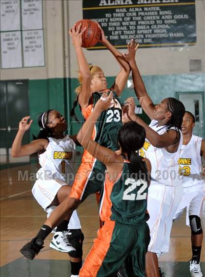Thumbnail 2 in Poly vs. Narbonne (Ladycat Classic) photogallery.
