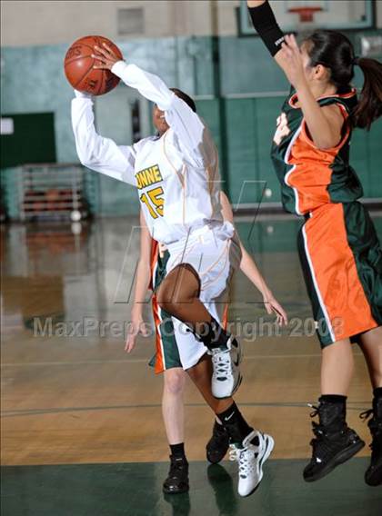 Thumbnail 3 in Poly vs. Narbonne (Ladycat Classic) photogallery.