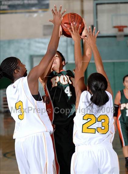 Thumbnail 2 in Poly vs. Narbonne (Ladycat Classic) photogallery.
