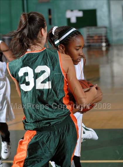 Thumbnail 3 in Poly vs. Narbonne (Ladycat Classic) photogallery.